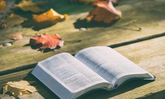 Bible Verses for a New Season