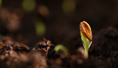 How to Grow Your Faith in Hard Times