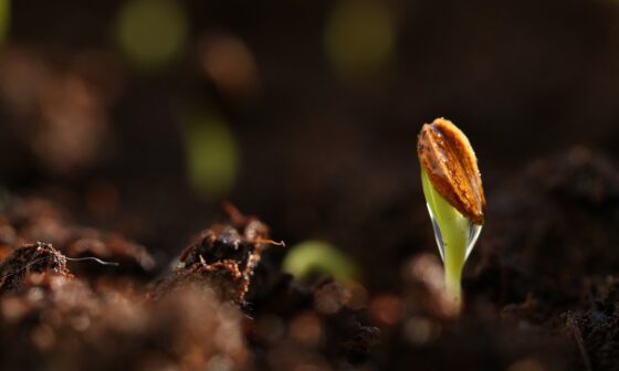 How to Grow Your Faith in Hard Times