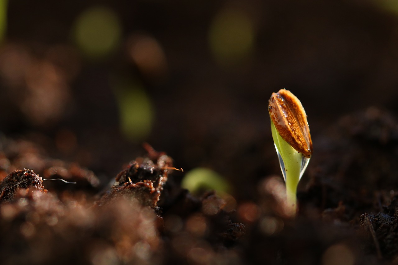 How to Grow Your Faith in Hard Times